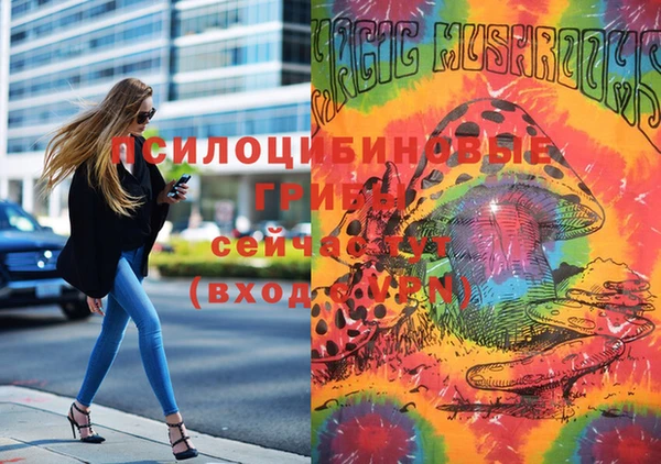 метадон Осинники