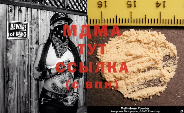 ГАЛЛЮЦИНОГЕННЫЕ ГРИБЫ Осташков