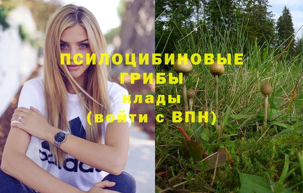 метадон Осинники