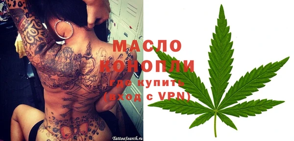 дживик Няндома