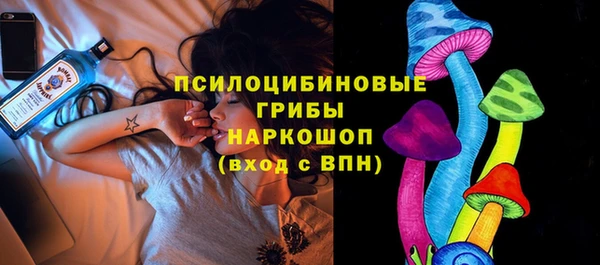 стафф Корсаков