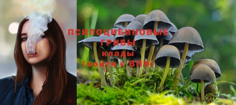 Галлюциногенные грибы MAGIC MUSHROOMS  наркошоп  Котлас 