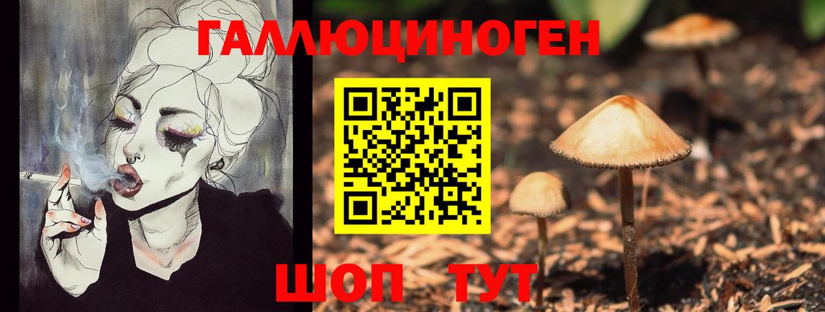 Псилоцибиновые грибы Psilocybe  Котлас  где можно купить наркотик  Псилоцибиновые грибы GOLDEN TEACHER 